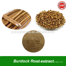 High Grade Burdock Root Extract Fructus Arctii Extract Powder Burdock Root Powder For Sex Enhancement